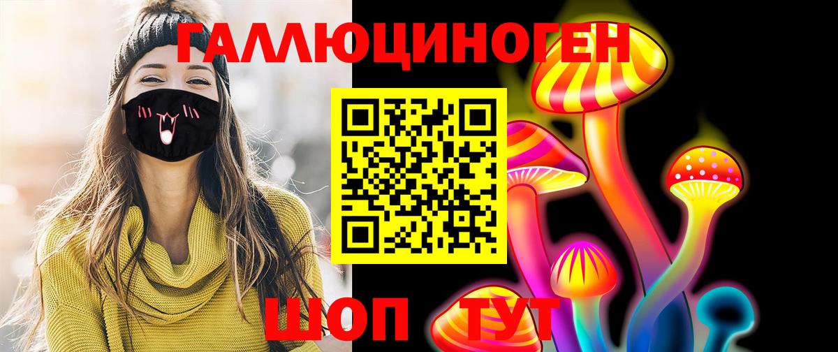 Железноводск  Псилоцибиновые грибы Cubensis  Вход с VPN 