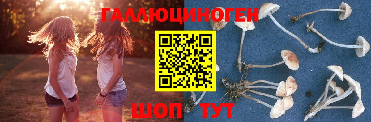Псилоцибиновые грибы MAGIC MUSHROOMS Железноводск